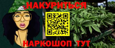 прущие грибы Шахты