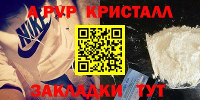 прущие грибы Шахты