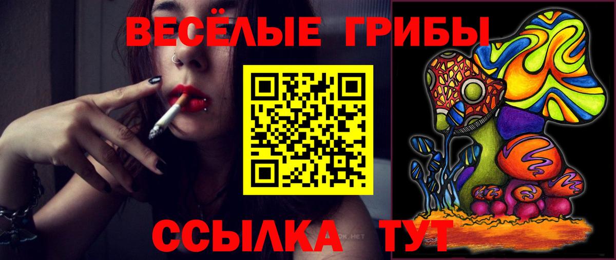 Коммунар  Псилоцибиновые грибы прущие грибы  Вход с VPN 