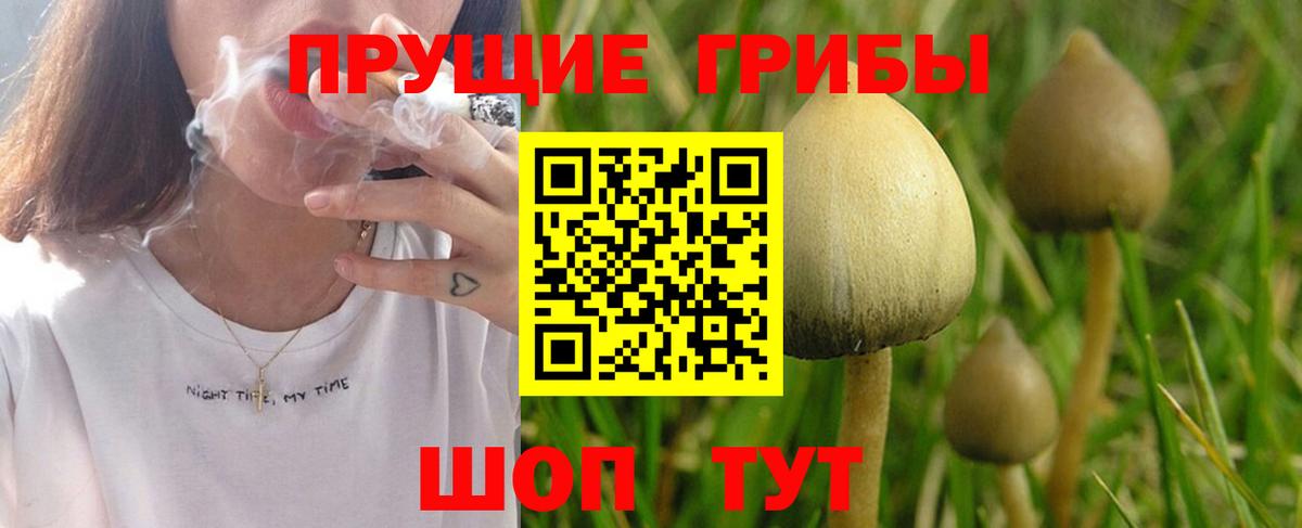 Галлюциногенные грибы GOLDEN TEACHER Коммунар